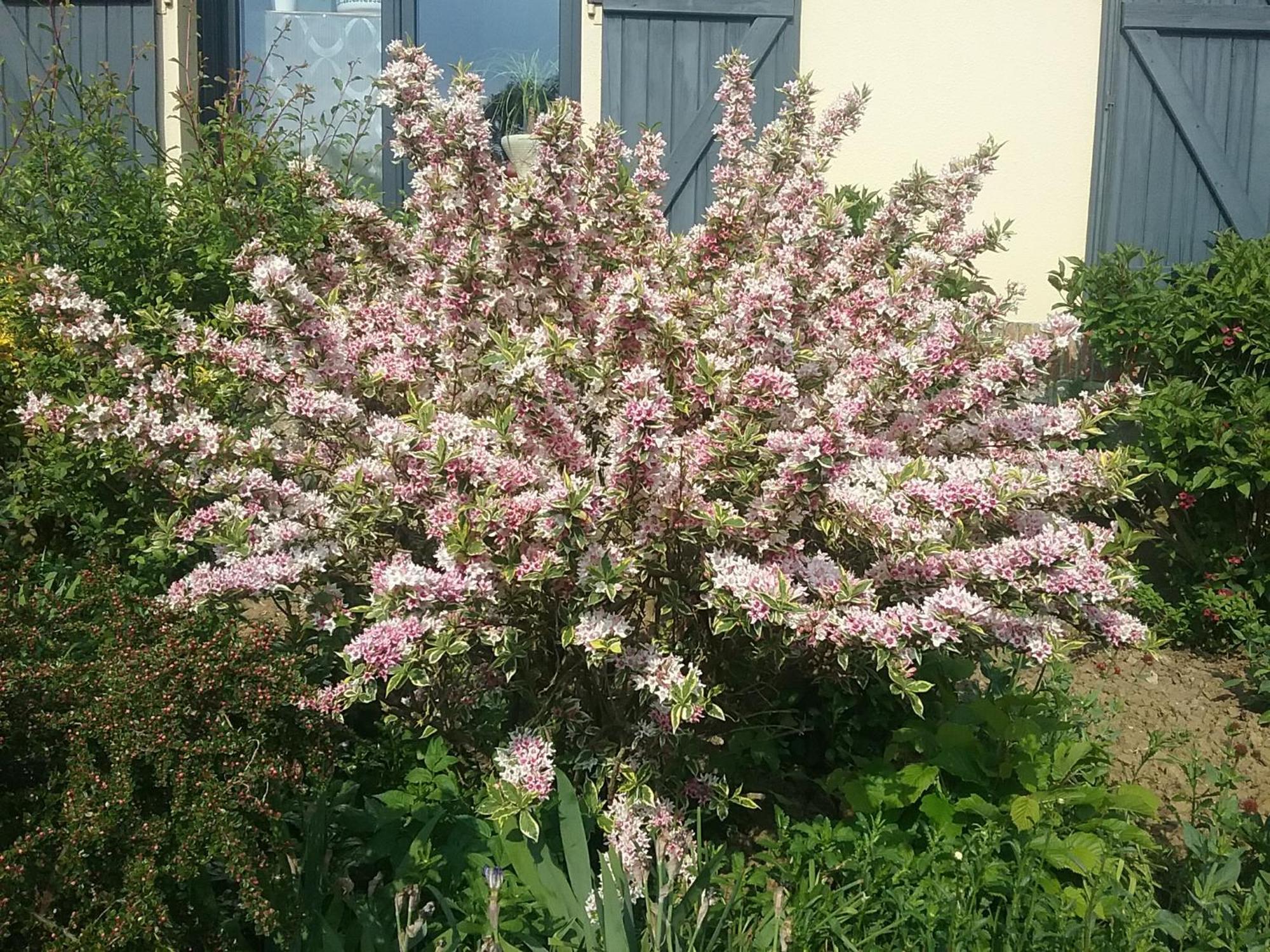 Le Bel Isle Holiday home Boulogne-sur-Mer
